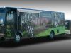 truck-wrap-and-matching-trailer-wrap